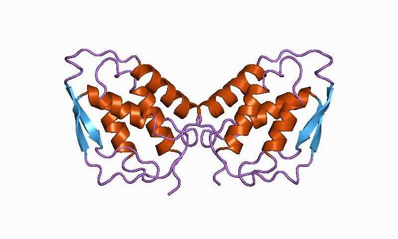 Fingerprint of multiple sclerosis immune cells identified