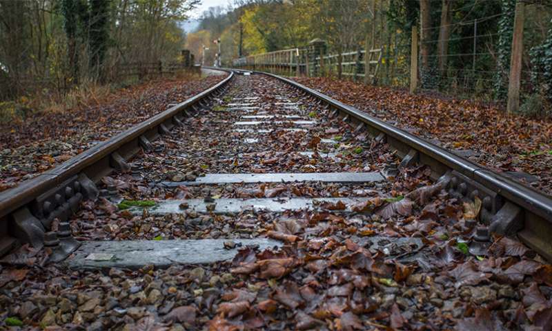 Dry ice could prevent rail delays caused by ‘leaves on the line’