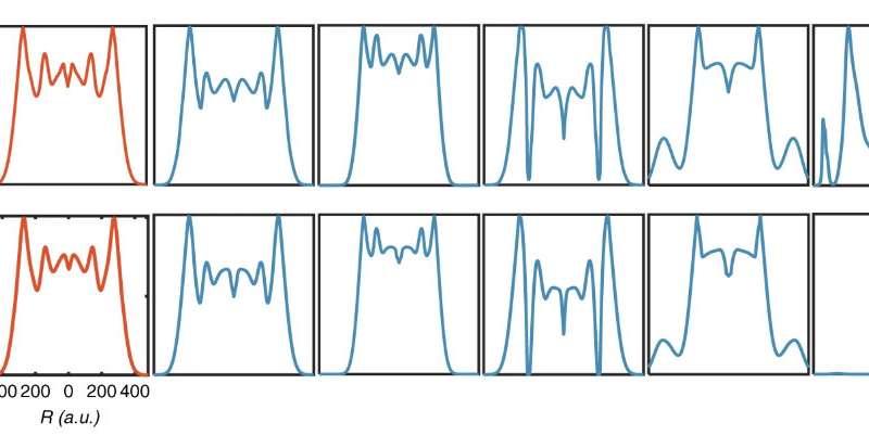 Machine learning predicts behavior of biological circuits