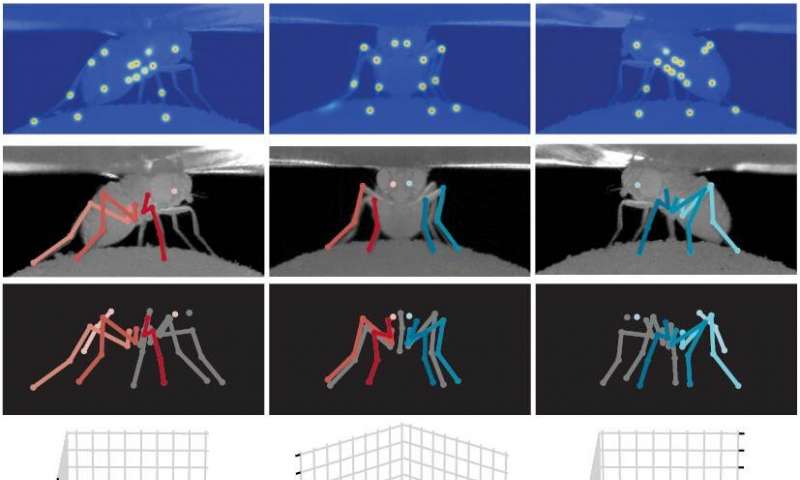 Deep-learning method to design fly-like robots