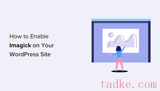 如何在WordPress站点上启用Imagick