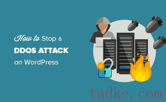 如何阻止和阻止对WordPress的DDoS攻击